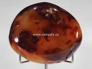 carnelian, free form